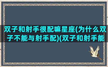 双子和射手很配嘛星座(为什么双子不能与射手配)(双子和射手能在一起吗)