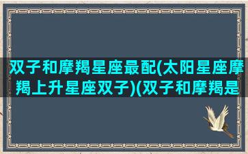 双子和摩羯星座最配(太阳星座摩羯上升星座双子)(双子和摩羯是绝配吗)