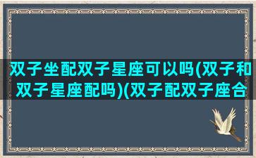 双子坐配双子星座可以吗(双子和双子星座配吗)(双子配双子座合适吗)