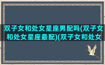 双子女和处女星座男配吗(双子女和处女星座最配)(双子女和处女男座配对指数)