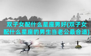 双子女配什么星座男好(双子女配什么星座的男生当老公最合适)