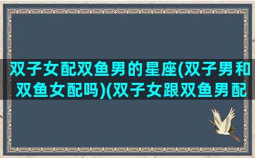 双子女配双鱼男的星座(双子男和双鱼女配吗)(双子女跟双鱼男配吗其实是绝配)