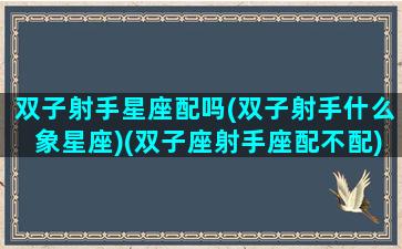 双子射手星座配吗(双子射手什么象星座)(双子座射手座配不配)