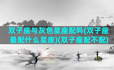 双子座与灰色星座配吗(双子座最配什么星座)(双子座配不配)