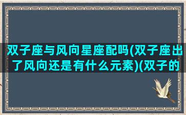 双子座与风向星座配吗(双子座出了风向还是有什么元素)(双子的风象星座)