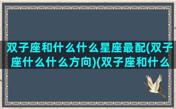 双子座和什么什么星座最配(双子座什么什么方向)(双子座和什么星座很般配)