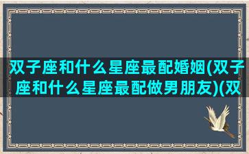 双子座和什么星座最配婚姻(双子座和什么星座最配做男朋友)(双子座和什么星座的人最配)