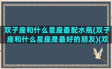 双子座和什么星座最配水瓶(双子座和什么星座是最好的朋友)(双子座和什么星座很般配)