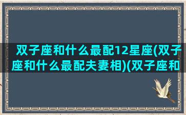 双子座和什么最配12星座(双子座和什么最配夫妻相)(双子座和什么配对最好)