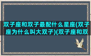 双子座和双子最配什么星座(双子座为什么叫大双子)(双子座和双子星座配吗)