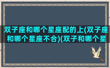 双子座和哪个星座配的上(双子座和哪个星座不合)(双子和哪个星座更配)