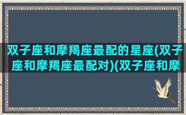 双子座和摩羯座最配的星座(双子座和摩羯座最配对)(双子座和摩羯座的配对指数是多少)