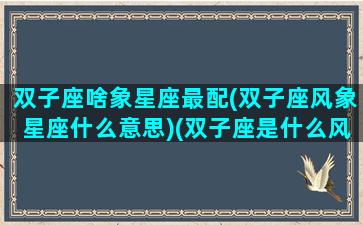 双子座啥象星座最配(双子座风象星座什么意思)(双子座是什么风象星座)