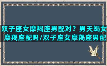 双子座女摩羯座男配对？男天蝎女摩羯座配吗/双子座女摩羯座男配对？男天蝎女摩羯座配吗-我的网站