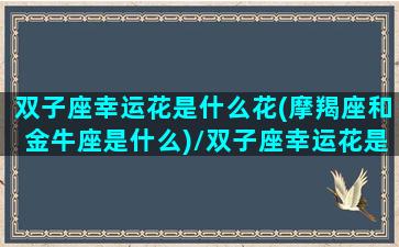 双子座幸运花是什么花(摩羯座和金牛座是什么)/双子座幸运花是什么花(摩羯座和金牛座是什么)-我的网站