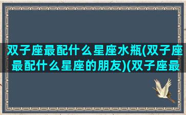 双子座最配什么星座水瓶(双子座最配什么星座的朋友)(双子座最搭配哪个星座)