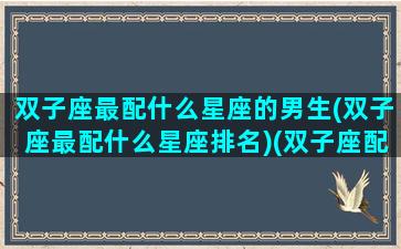 双子座最配什么星座的男生(双子座最配什么星座排名)(双子座配哪个星座最好)