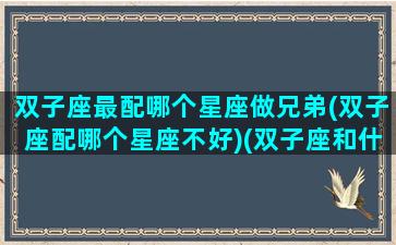 双子座最配哪个星座做兄弟(双子座配哪个星座不好)(双子座和什么座最配)