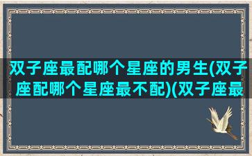 双子座最配哪个星座的男生(双子座配哪个星座最不配)(双子座最般配的星座)