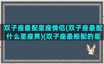 双子座最配星座情侣(双子座最配什么星座男)(双子座最般配的星座)