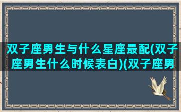 双子座男生与什么星座最配(双子座男生什么时候表白)(双子座男的跟什么星座配对)