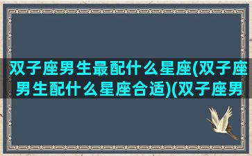 双子座男生最配什么星座(双子座男生配什么星座合适)(双子座男配什么星座女生)