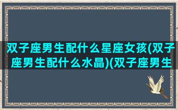 双子座男生配什么星座女孩(双子座男生配什么水晶)(双子座男生配什么座的女生)