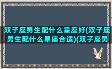 双子座男生配什么星座好(双子座男生配什么星座合适)(双子座男人配什么星座最好)