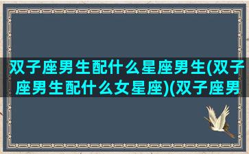 双子座男生配什么星座男生(双子座男生配什么女星座)(双子座男生配什么座的女生)