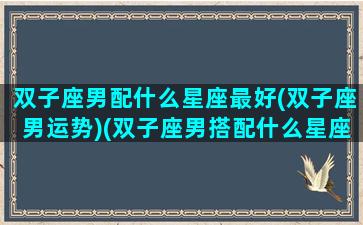 双子座男配什么星座最好(双子座男运势)(双子座男搭配什么星座最合适)