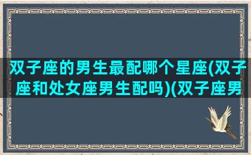 双子座的男生最配哪个星座(双子座和处女座男生配吗)(双子座男生和哪个星座女最合适)