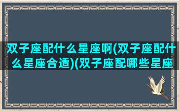 双子座配什么星座啊(双子座配什么星座合适)(双子座配哪些星座比较合适)