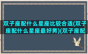 双子座配什么星座比较合适(双子座配什么星座最好男)(双子座配什么样的星座)