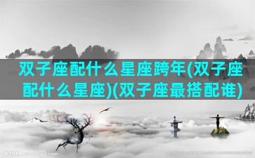 双子座配什么星座跨年(双子座配什么星座)(双子座最搭配谁)