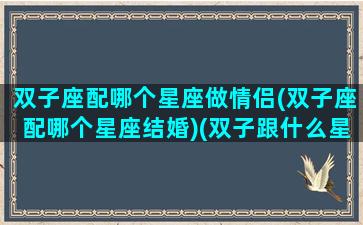 双子座配哪个星座做情侣(双子座配哪个星座结婚)(双子跟什么星座最配当情侣)