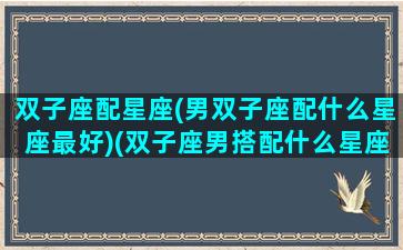 双子座配星座(男双子座配什么星座最好)(双子座男搭配什么星座最合适)