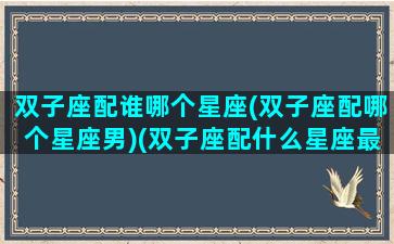 双子座配谁哪个星座(双子座配哪个星座男)(双子座配什么星座最合适)