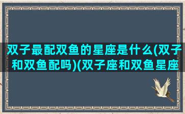 双子最配双鱼的星座是什么(双子和双鱼配吗)(双子座和双鱼星座最配)