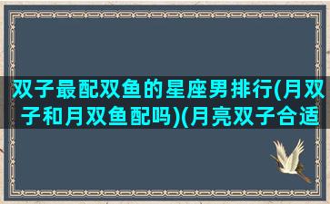 双子最配双鱼的星座男排行(月双子和月双鱼配吗)(月亮双子合适的月座)