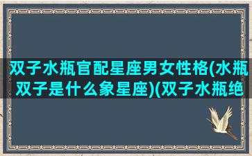 双子水瓶官配星座男女性格(水瓶双子是什么象星座)(双子水瓶绝配)