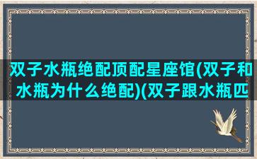 双子水瓶绝配顶配星座馆(双子和水瓶为什么绝配)(双子跟水瓶匹配度)