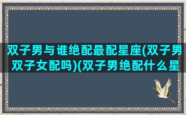 双子男与谁绝配最配星座(双子男双子女配吗)(双子男绝配什么星座)