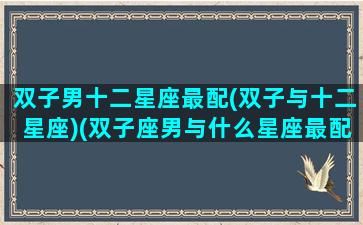 双子男十二星座最配(双子与十二星座)(双子座男与什么星座最配)