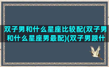 双子男和什么星座比较配(双子男和什么星座男最配)(双子男跟什么星座最合得来)