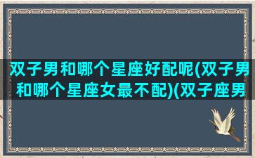 双子男和哪个星座好配呢(双子男和哪个星座女最不配)(双子座男和哪个星座最合适)