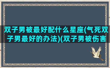 双子男被最好配什么星座(气死双子男最好的办法)(双子男被伤害后)