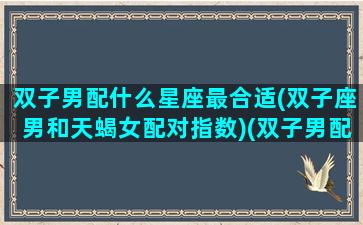 双子男配什么星座最合适(双子座男和天蝎女配对指数)(双子男配什么星座最好)