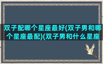 双子配哪个星座最好(双子男和哪个星座最配)(双子男和什么星座最配排行)