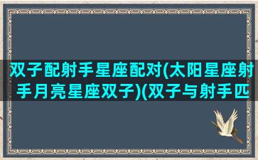 双子配射手星座配对(太阳星座射手月亮星座双子)(双子与射手匹配度)