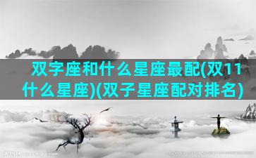 双字座和什么星座最配(双11什么星座)(双子星座配对排名)